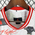 Conjunto Jordan Chicago Bulls – Dri-Fit Premium
