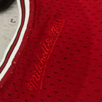 Mujeres | NBA Crop Top Chicago Bulls Mitchell & Ness - Dennis Rodman
