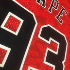 97/98 NBA Chicago Bulls - Mitchell & Ness x BAPE