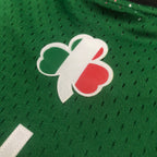 2007 NBA Boston Celtics Mitchell & Ness - Ray Allen