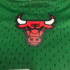2008/09 NBA Bulls Mitchell & Ness - Derrick Rose