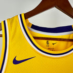 2023/24 NBA Lakers Icon Edition - Lebron James