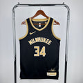 NBA Milwaukee Select Series- Giannis Antetokounmpo