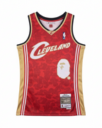 2008/09 NBA Cleveland - Mitchell & Ness x BAPE
