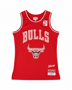 NBA Chicago Bulls - Blackpink Edition