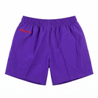 NBA Short Toronto Raptors - Mitchell & Ness