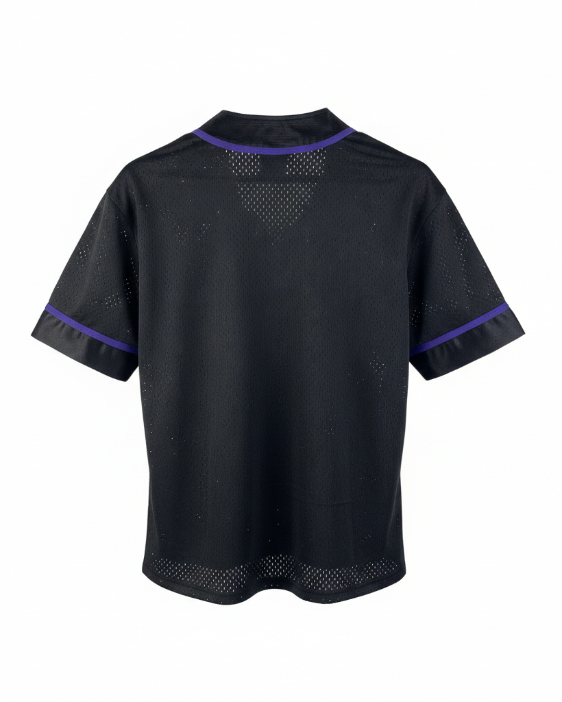 Camiseta Jordan NBA Toronto Raptors Dri-Fit
