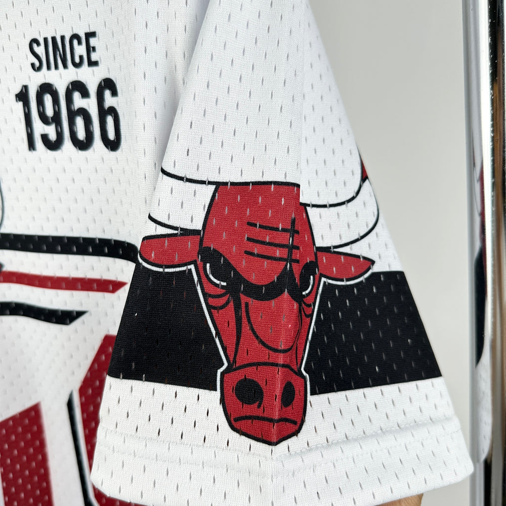 T-Shirt NBA Retro Chicago Bulls
