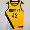 2023/24 NBA Pacers - SIakam #43