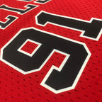 Mujeres | NBA Crop Top Chicago Bulls Mitchell & Ness - Dennis Rodman