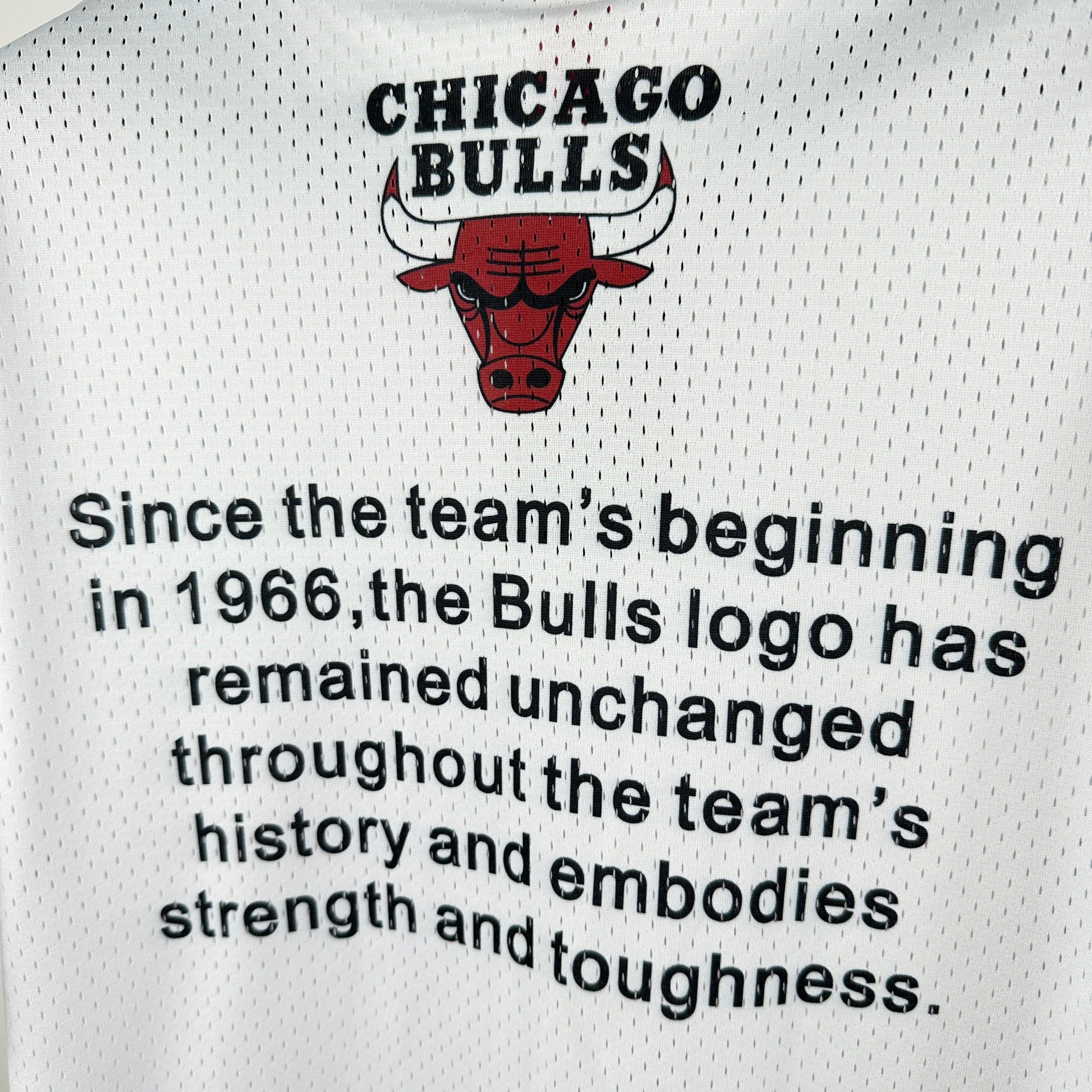T-Shirt NBA Retro Chicago Bulls
