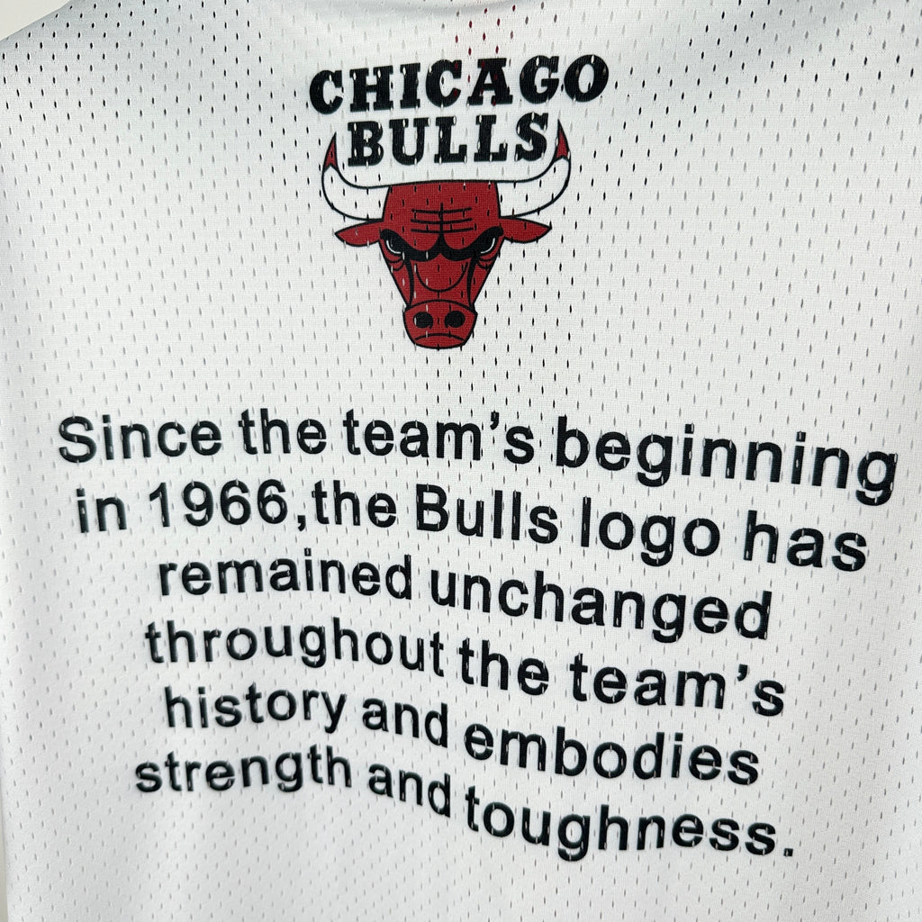 T-Shirt NBA Retro Chicago Bulls