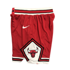 Short NBA Chicago Bulls - Icon Edition